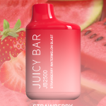 STRAWBERRY WATERMELON BLAST